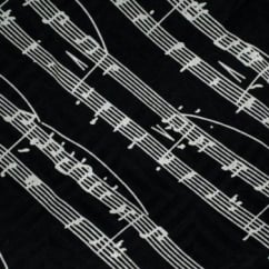 Black & White Sheet Music Silk Novelty Pocket Square Handkerchief