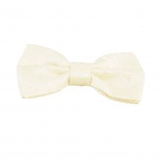 Champagne Ivory Paisley Pattern Boys Bow Tie
