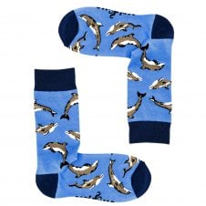 Dolphins Blue Combed Cotton Rich Socks