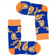 Lions Blue Combed Cotton Rich Socks