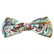 Multi Coloured Paisley Cotton Men's Bow Tie