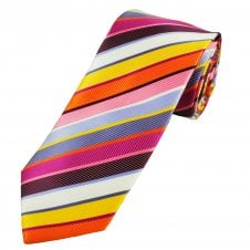 Multi Coloured Rainbow Striped Men's Tie