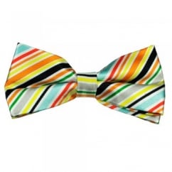Multi Coloured Striped Men's Silk Bow Tie