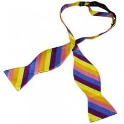 Multi Coloured Stripes Self Tie Silk Bow Tie