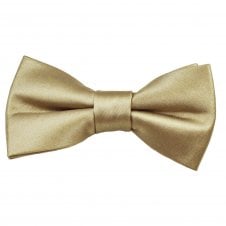 Plain Taupe Boys Bow Tie