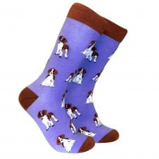 Spaniel Dog Violet Combed Cotton Rich Socks