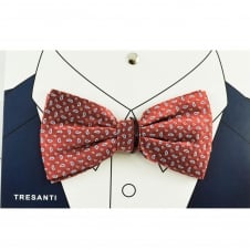 Tresanti Red, Blue & Silver Small Paisley Pattern Silk Men's Bow Tie
